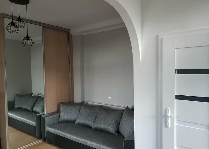 Przy Lesnej 公寓 *